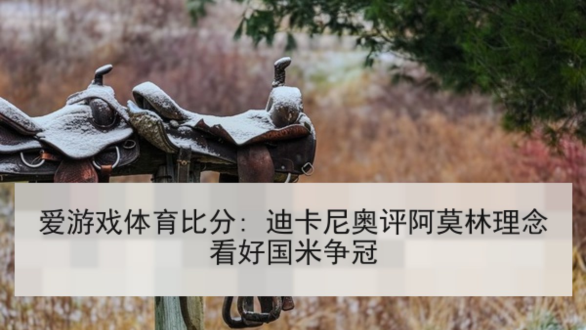 爱游戏体育比分: 迪卡尼奥评阿莫林理念看好国米争冠 爱游戏体育比分: 迪卡尼奥评阿莫林理念看好国米争冠
