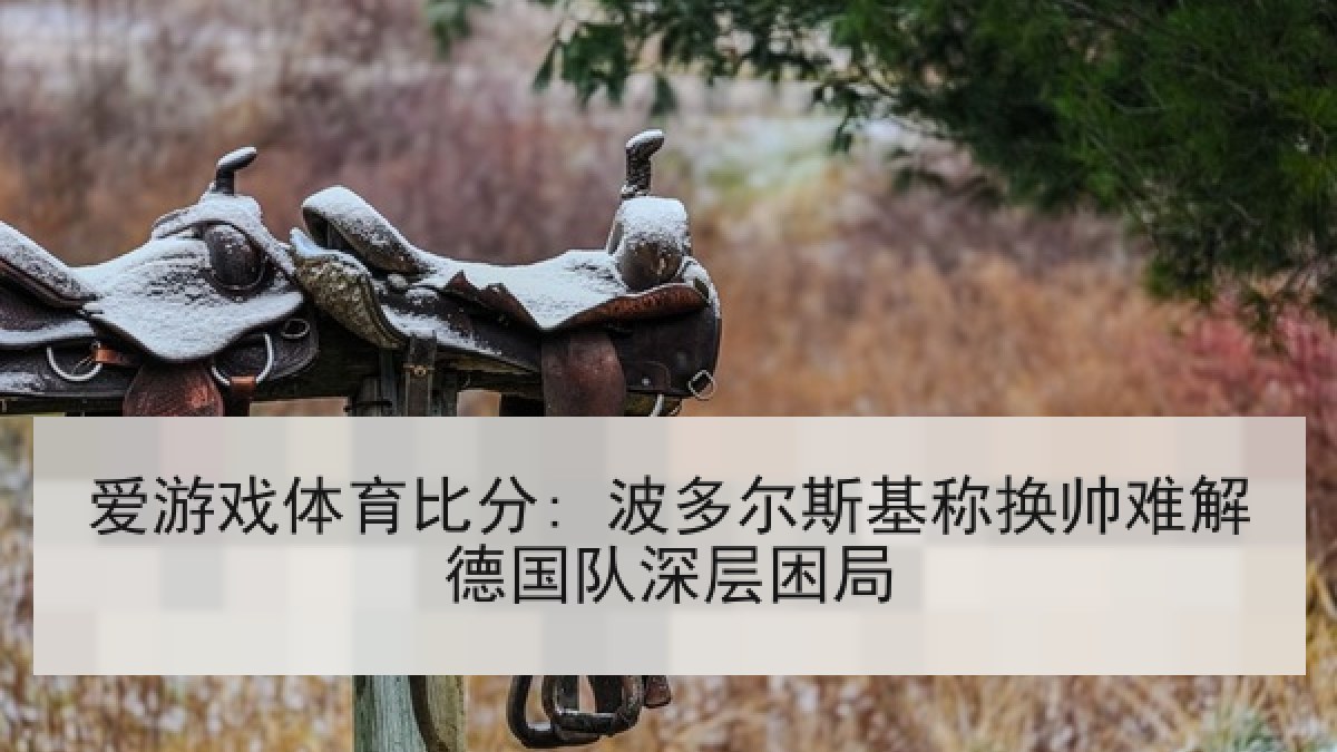爱游戏体育比分: 波多尔斯基称换帅难解德国队深层困局