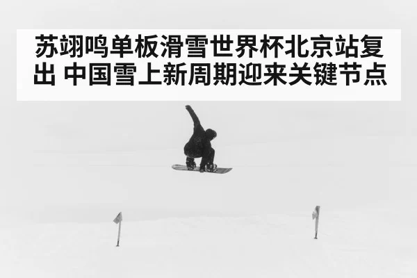 苏翊鸣单板滑雪世界杯北京站复出 中国雪上新周期迎来关键节点
